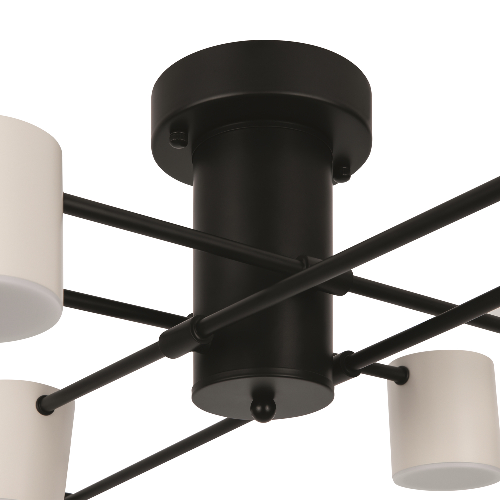 Потолочная светодиодная люстра Freya Tibo FR6048CL-L8B