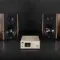 Gold Note A3 Evo II Glossy Walnut