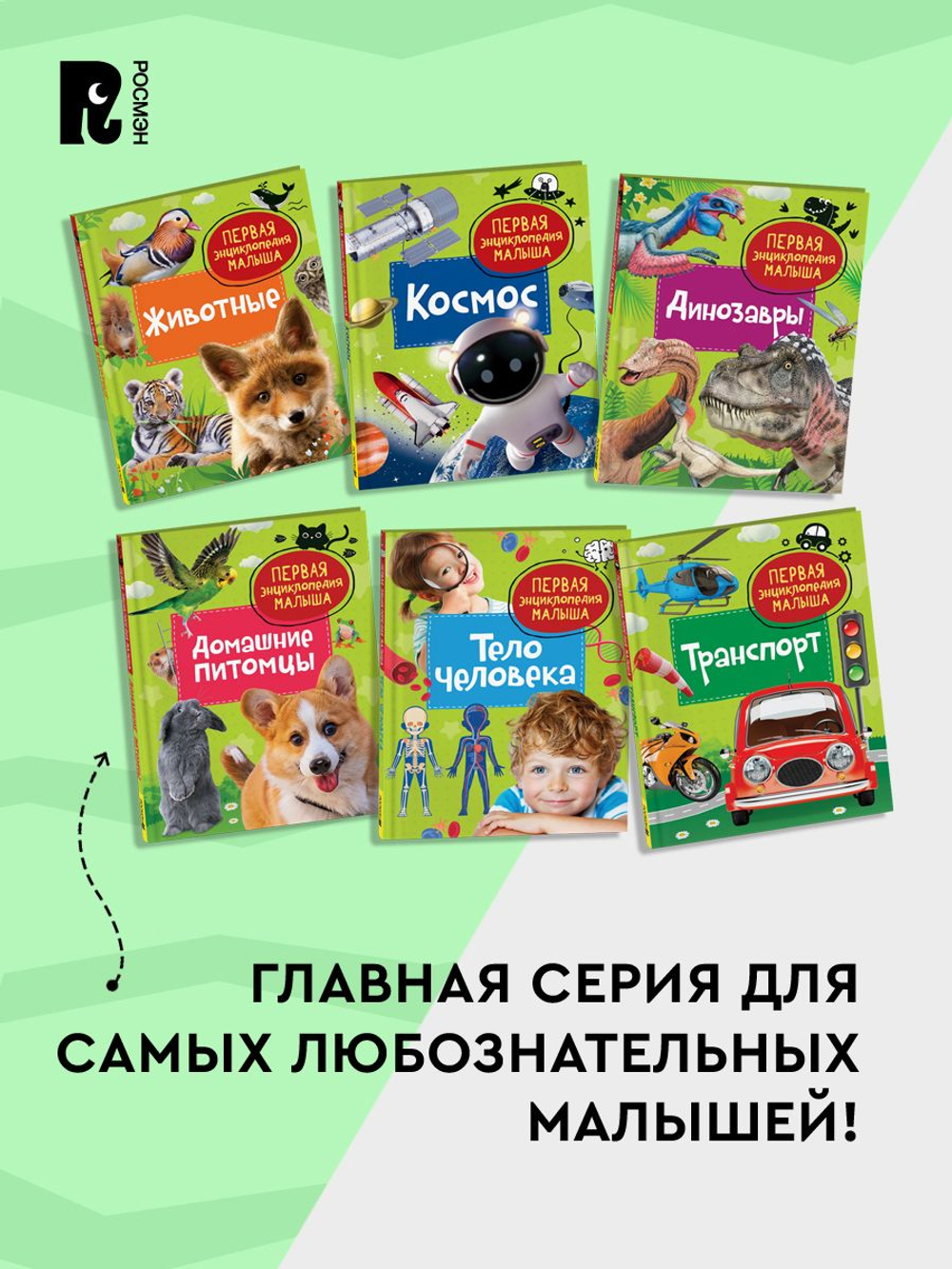 Транспорт. Первая энциклопедия малыша