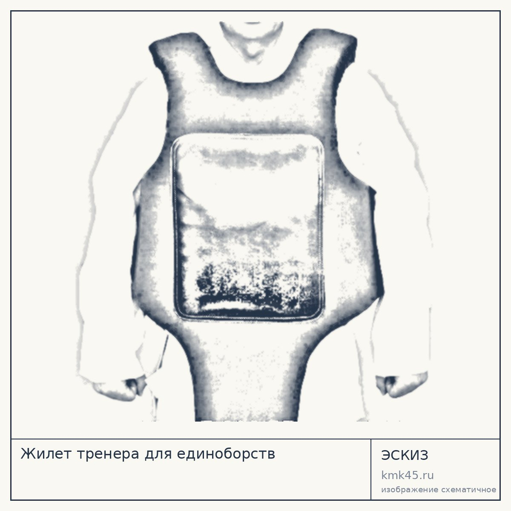 Жилет тренера для единоборств — от 6 500 ₽
