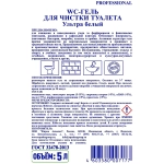 Средство для сантехники чистящее Aqualon 5 л для уборки туалета и ванной/для чистки ванн и душевых