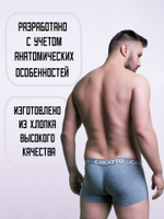 Трусы мужские боксеры в крапинку (3 штуки в упаковке)