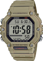 Мужские наручные часы Casio Collection AE-1600H-5A