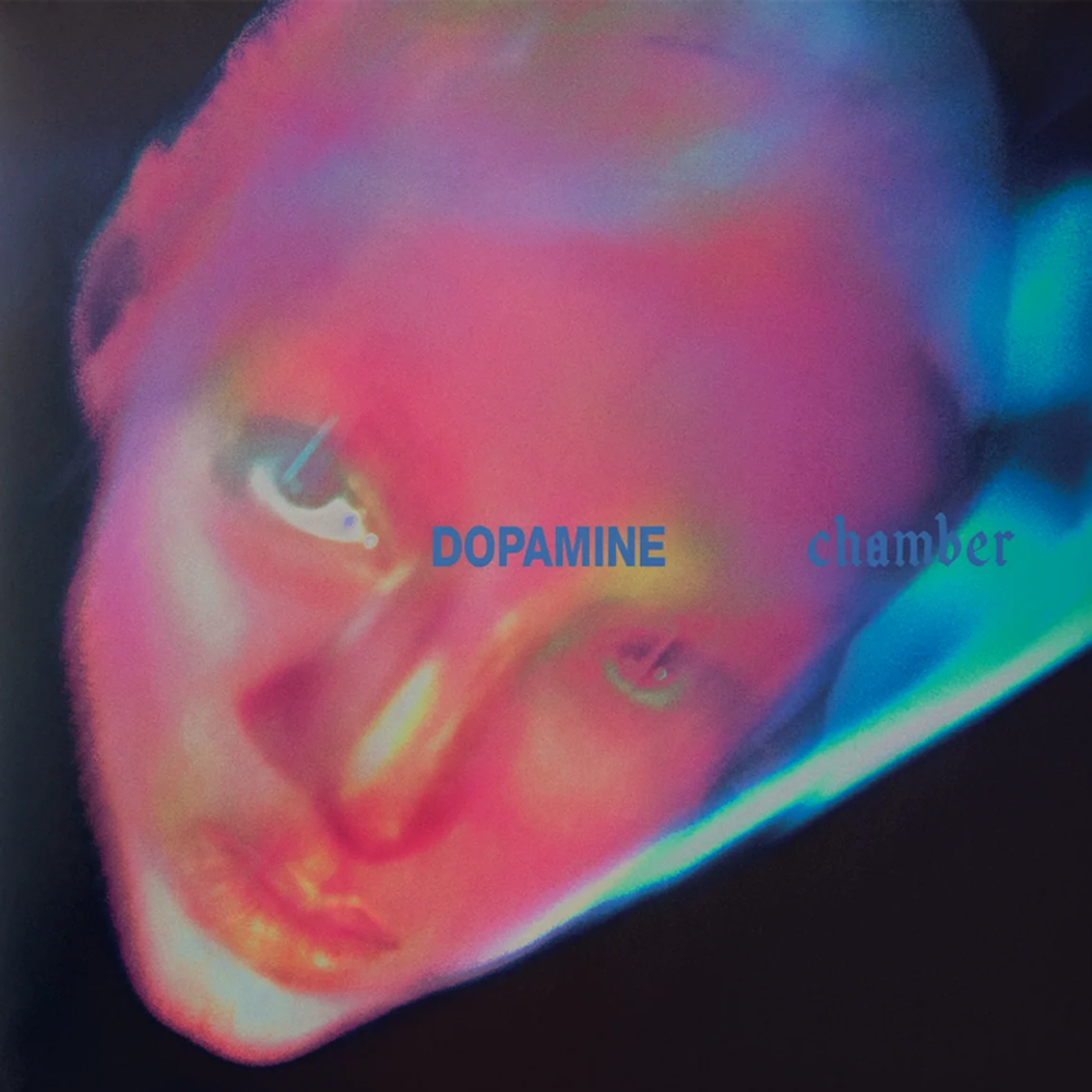 ПРЕДЗАКАЗ Fontaines D.C. Dopamine Chamber