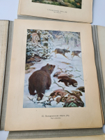 "Зоогеографический атлас". М.А. Мензбир. 1912 г. - редкая книга