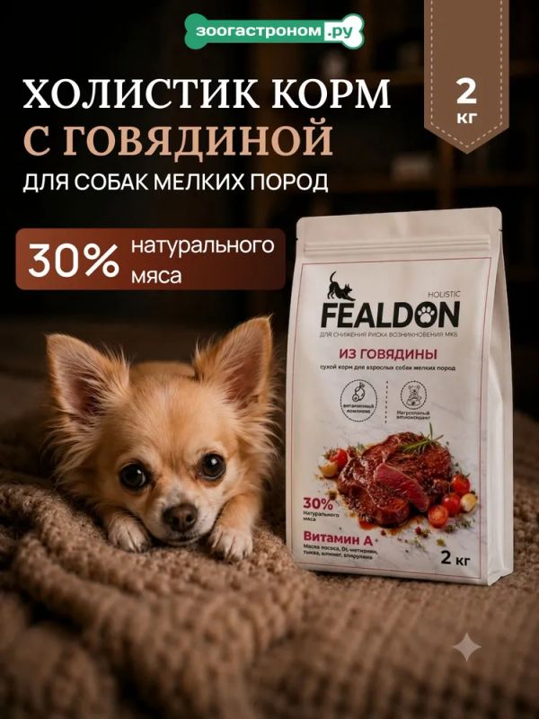 Сухой корм Fealdon для взрослых собак мелких пород с говядиной