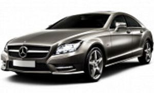 W218 (10- )