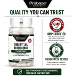 Probase Nutrition, Индейка, гриб, 100 мг, 120 капсул