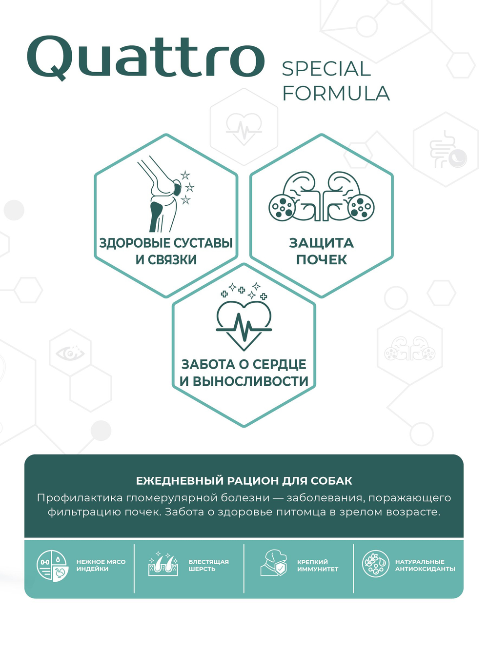 Корм для собак средних и крупных пород SF Renal Shield, (гломерулярная болезнь), 12 кг, QUATTRO