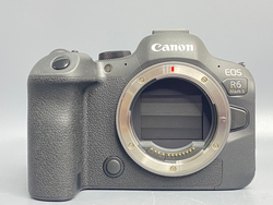 Canon R6 Mark II 20.000 кадров