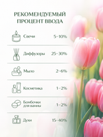 Tulip (Тюльпан)