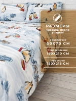Постельное белье 1,5 спальное хлопок Холли-Бей нав 50х70