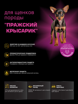 Корм сухой для щенков породы Пражский крысарик, с говядиной, 3 кг, QUATTRO