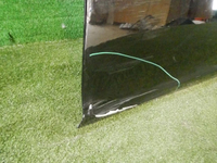 DSCN1608.jpg
