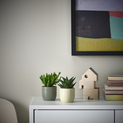 IKEA SUCCULENT  (ИКЕА СУССУЛЕНТ)  -  Растение с горшком - суккулент, разные цвета, 6 см