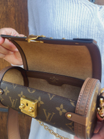 Louis Vuitton Papillon Trunk