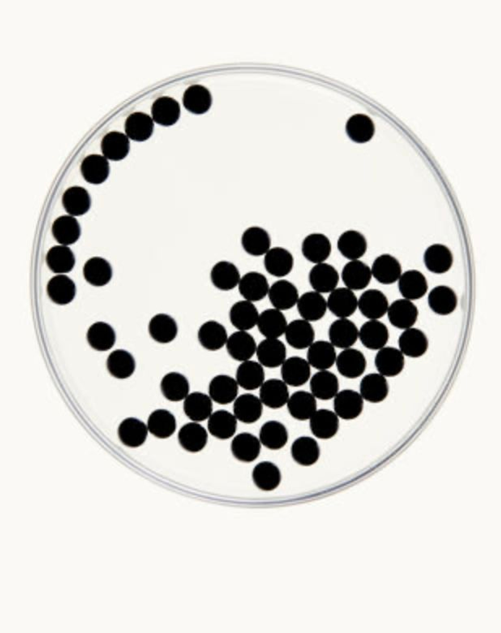 HELLO KLEAN Фильтр насадка для душа Shower Head 2.0 (серый)