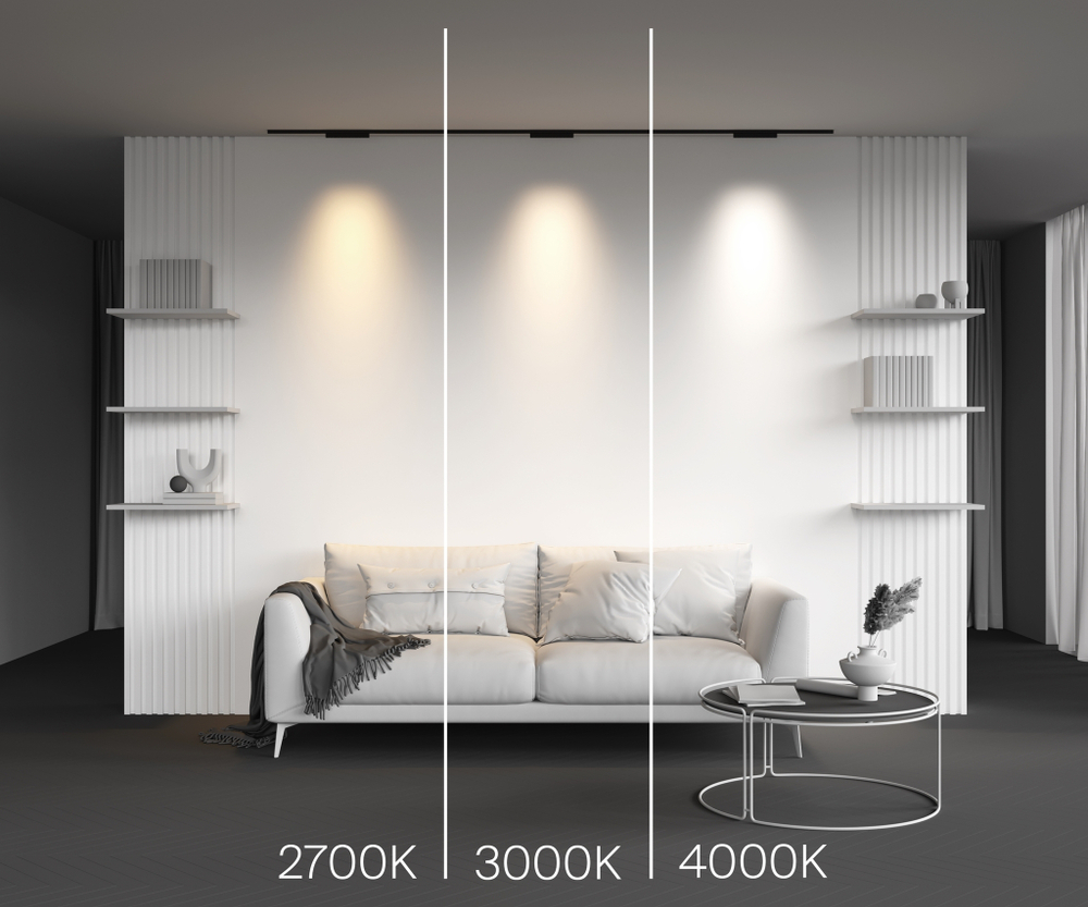 Магнитный трековый светильник Maytoni Points TR193-1-10W2.7K-M-B