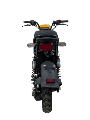 Электроскутер MAIKAOLIN R7 1200W (60V/60Ah) - Зеленый фото №7
