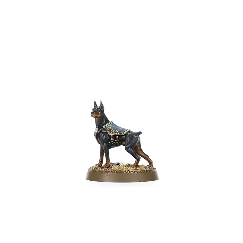 Kill Team: Elucidian Starstriders