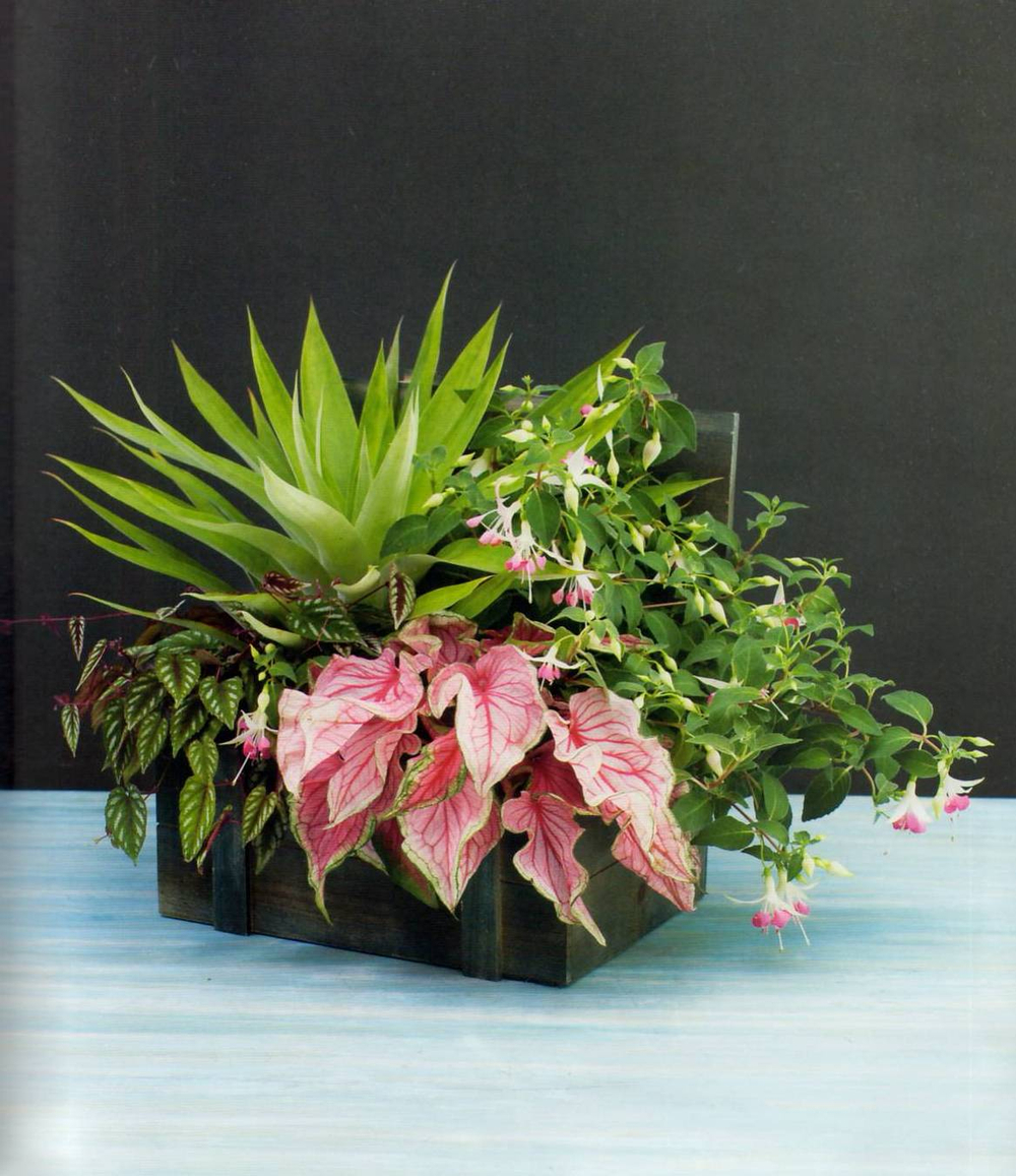 The Plant Recipe Book: 100 Living Arrangements for Any Home in Any Season