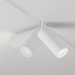 Магнитный трековый светильник Maytoni Focus LED TR032-4-20WTW-S-DD-W