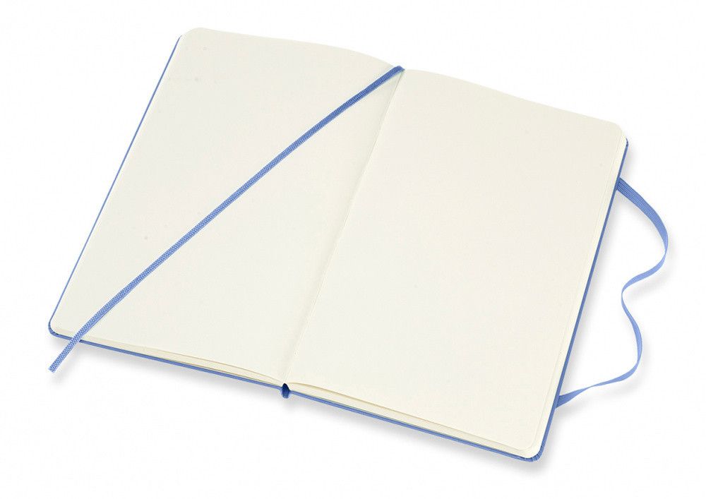 Блокнот Moleskine Classic Large нелинованный (QP062B42)