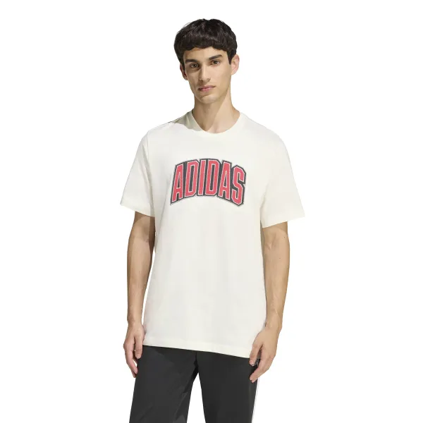 Футболка мужская ADIDAS M STAD COLLEG T OWHITE