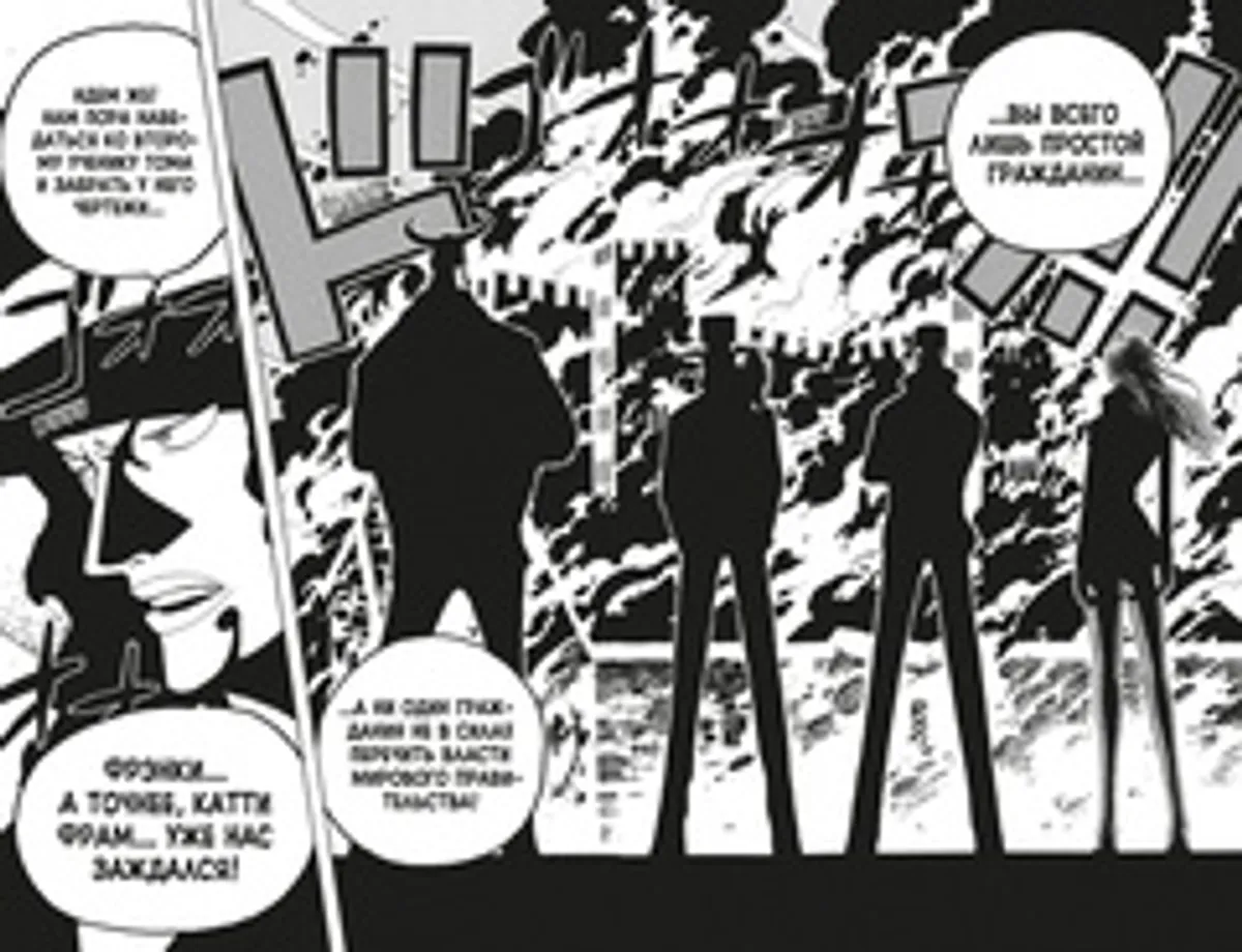 One Piece. Большой куш. Книга 13