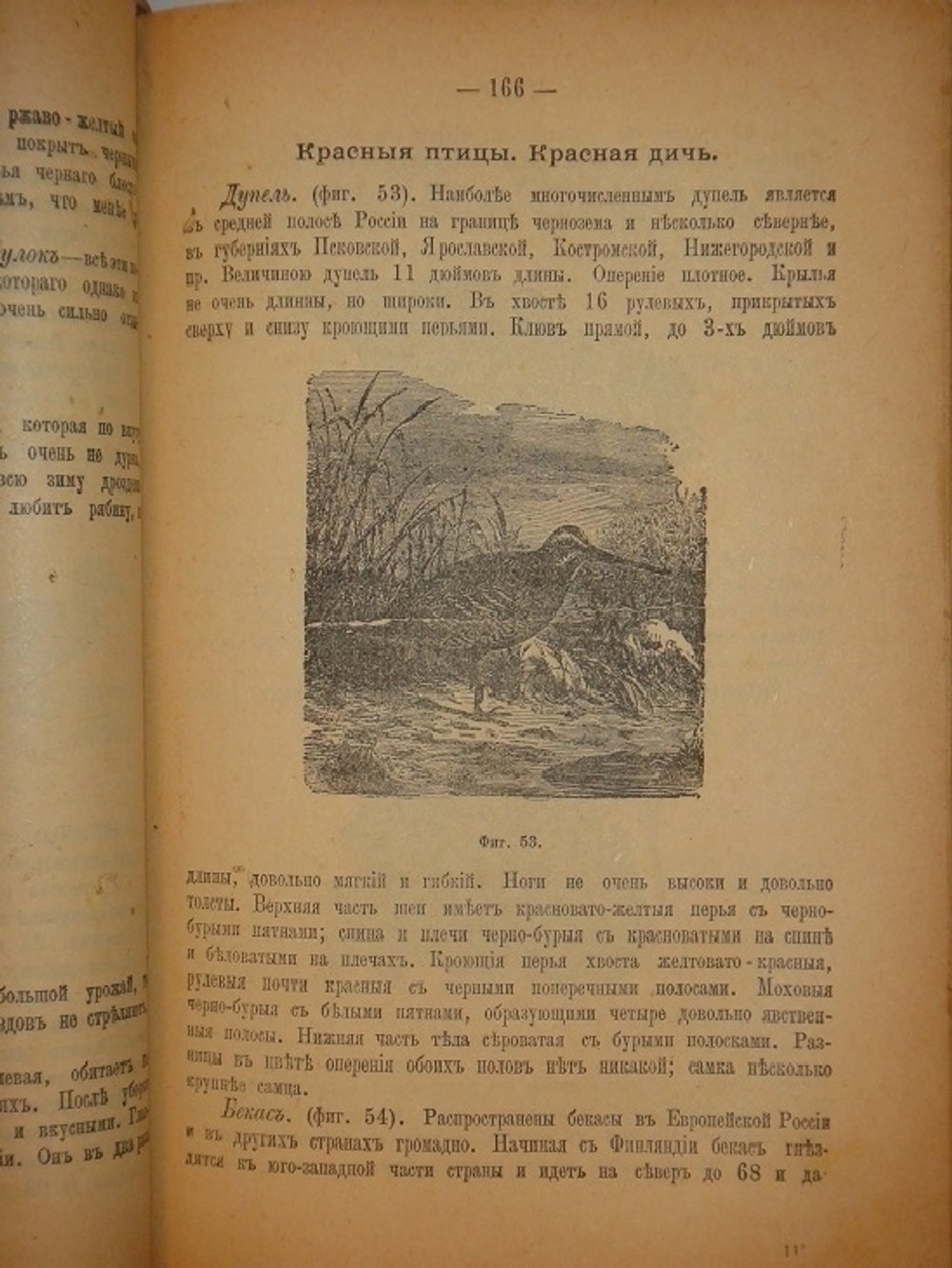 "Полный подарок молодым хозяйкам. Новейшая школа поварского и кондитерского искусства. В 6-ти частях". [ Псевдо-Молоховец ] К.К.Мороховцев. 1905г.