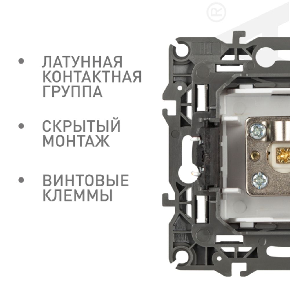 Розетка ЭРА Серия 12 12-3101-16 TV одиночная, титан | Эра 12