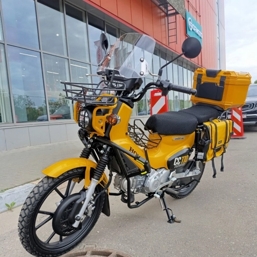 Защита фар CC110