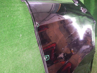 DSCN4102.JPG