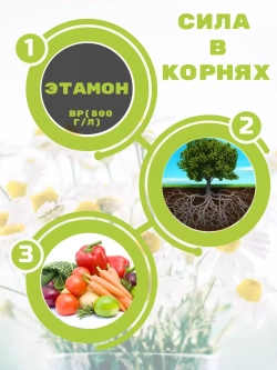 Стимулятор роста, стимулятор корней Этамон 0.5 л