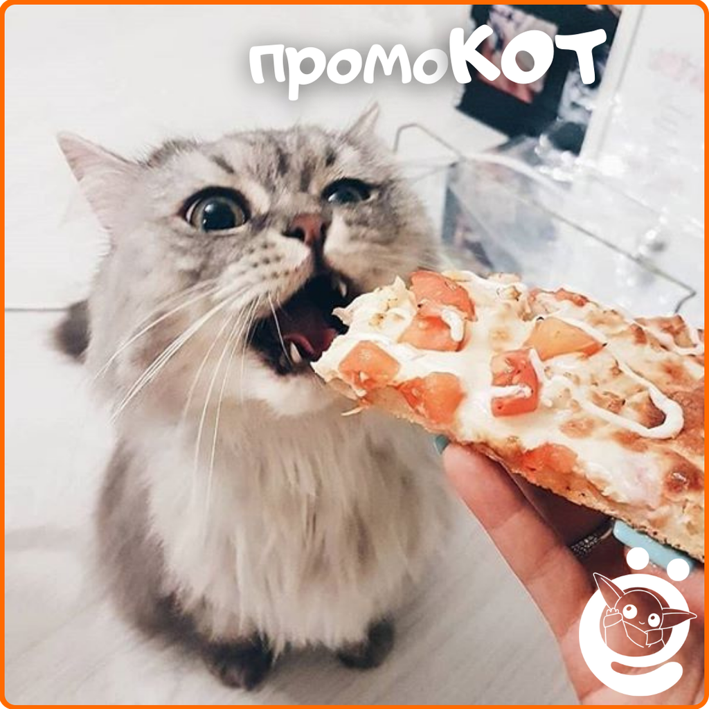 Волшебство🧙‍♂️