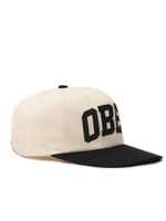 Кепка Obey Collegiate