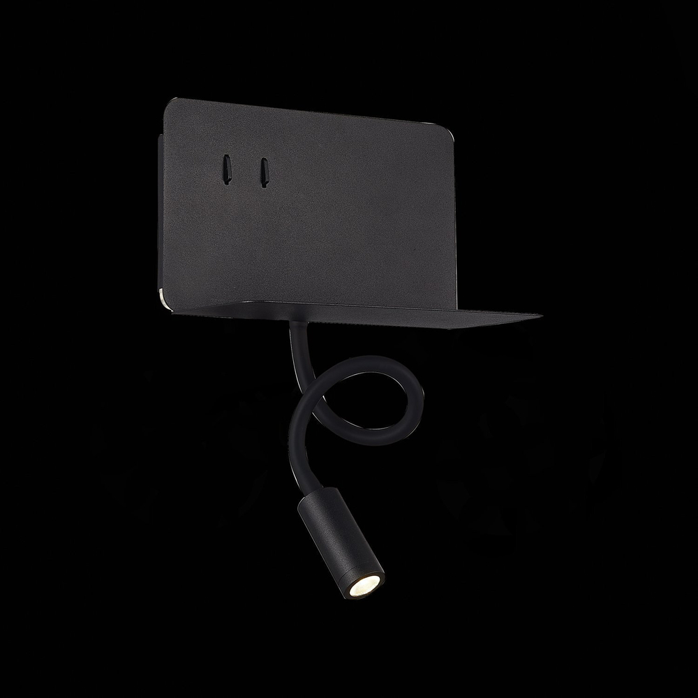 Светильник настенный ST Luce SL1576.401.02