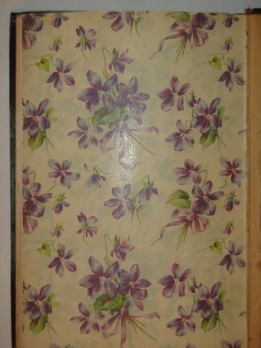 "Напевы и настроения". Б-сса Е.К.Остен-Сакен. 1902г.