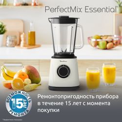 Высокоскоростной блендер Moulinex PerfectMix Essential LM771AF0