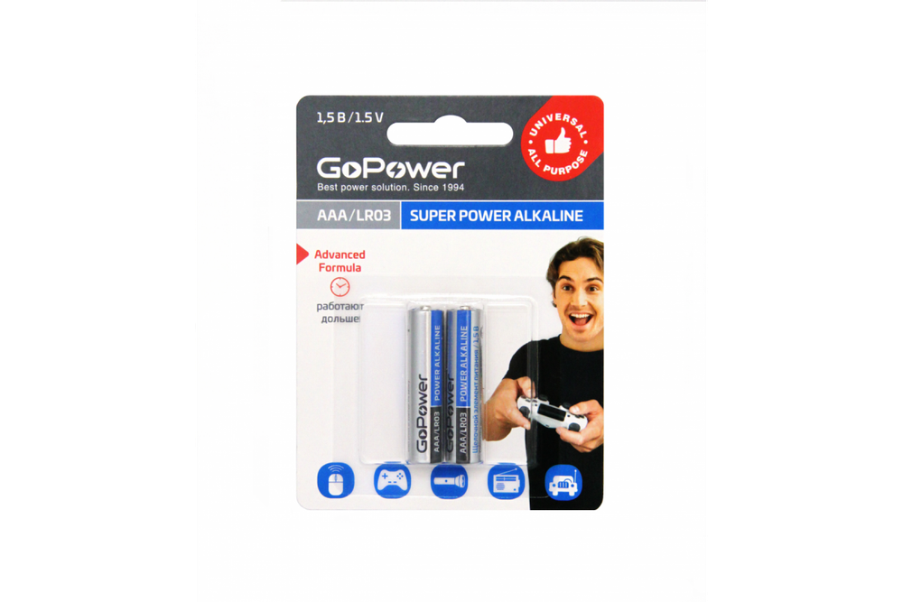 GoPower LR03 BL2 /2/24/480
