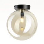 Потолочный светильник Citilux Orton CL202512