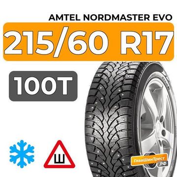Amtel NordMaster Evo 215/60 R17 100T XL шип.