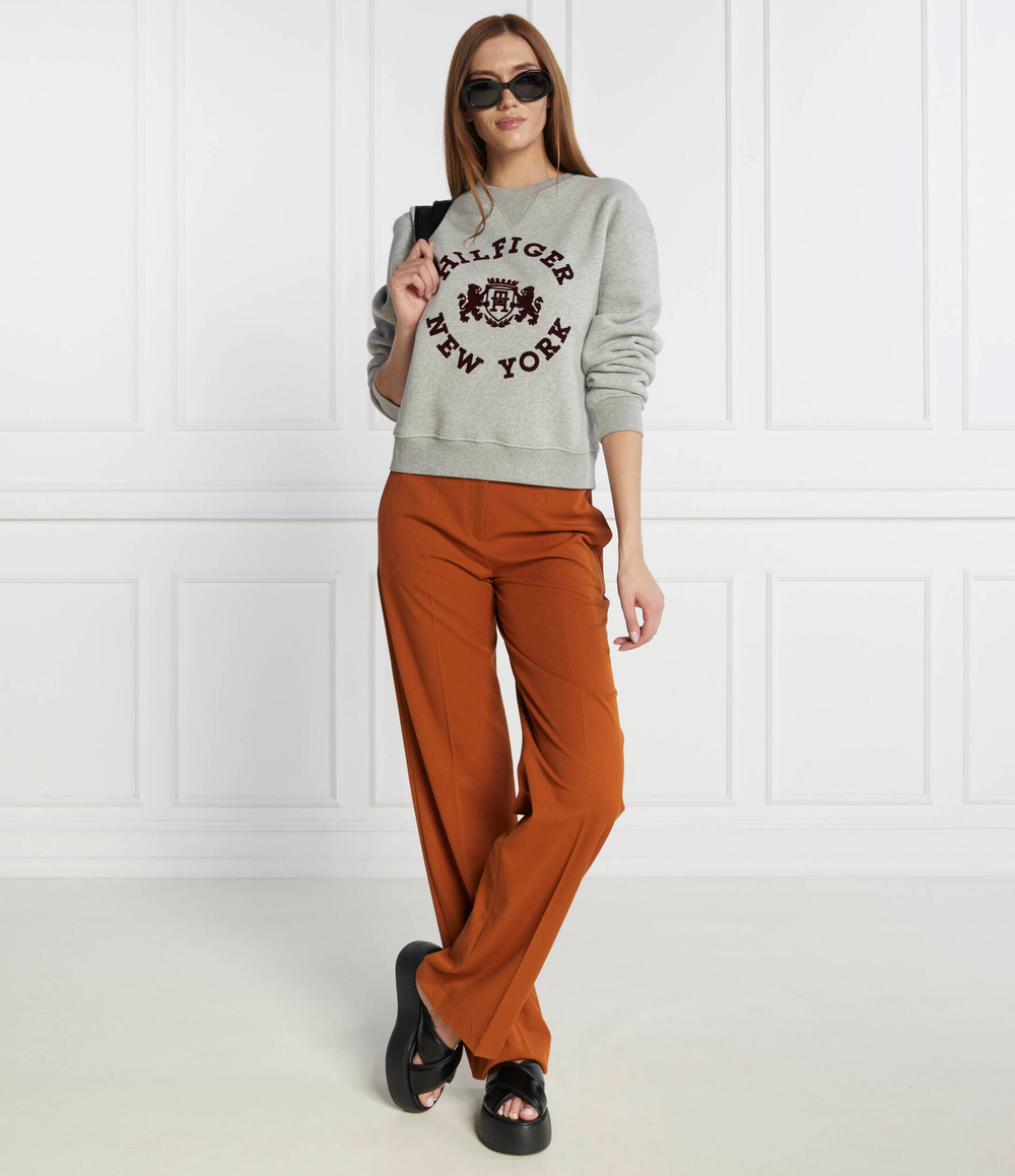Худи MDN REG VARSITY FLOCK Tommy Hilfiger - серый(WW0WW39805)