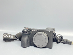 Sony A6700 8100 кадров