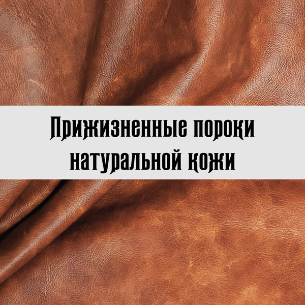 Прижизненные пороки натуральной кожи Прижизненные пороки натуральной кожи