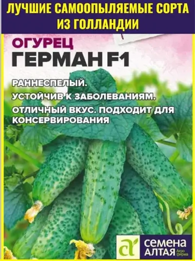Семена Огурец Герман F1