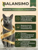 Сухой корм холистик для стерилизованных кошек и кастрированных котов Balansimo Holistic Sterilized Adult Cat лосось с рисом, 2 кг