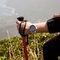 Мужские часы Casio Pro Trek PRW-35-7