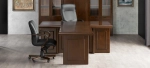 Брифинг приставка ПРИНСТОН