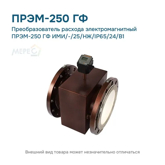Преобразователь расхода электромагнитный ПРЭМ-250 ГФ ИМИ/-/25/НЖ/IP65/24/B1